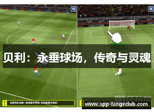 贝利:永垂球场,传奇与灵魂 贝利:永垂球场,传奇与灵魂