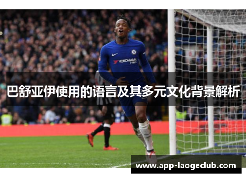 巴舒亚伊使用的语言及其多元文化背景解析 巴舒亚伊使用的语言及其多元文化背景解析