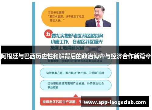 阿根廷与巴西历史性和解背后的政治博弈与经济合作新篇章