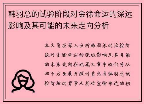 韩羽总的试验阶段对金徐命运的深远影响及其可能的未来走向分析