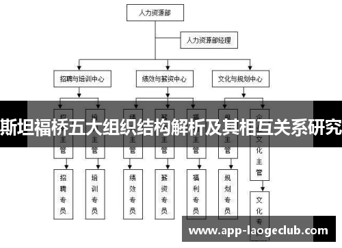 斯坦福桥五大组织结构解析及其相互关系研究 斯坦福桥五大组织结构解析及其相互关系研究