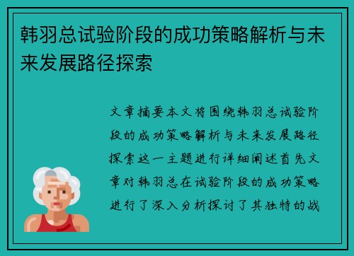 韩羽总试验阶段的成功策略解析与未来发展路径探索